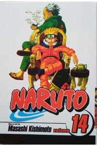Naruto 14