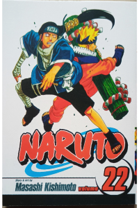 Naruto 22