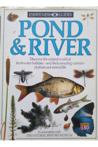 Eye Witness Guides – POND&RIVER