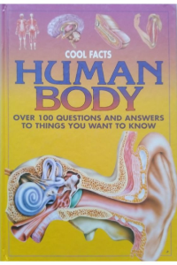 Cool Facts Human Body