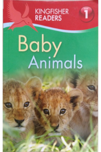 Baby Animals Level – 1