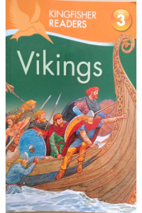 Vikings Level – 3