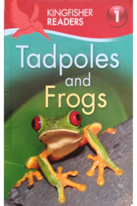Tadpoles and frogs – Level 1