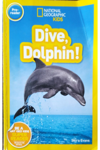 Dive, Dolphin