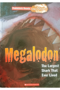 Megalodon The Largest Shark That Ever Lived