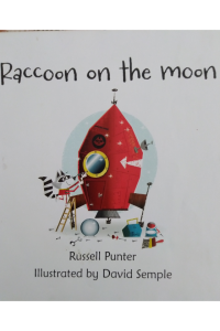 Usborne Phonics Readers – Raccoon on the moon