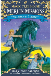 Merlin Missions- Stallion by starlight