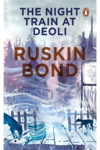 The Night train at Deoli