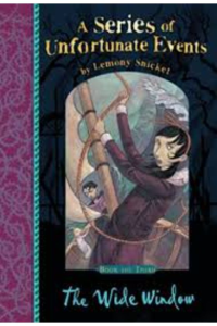 A Series of unfortunate events – The Wild window