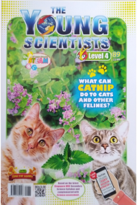 Young Scientists Level 4 89