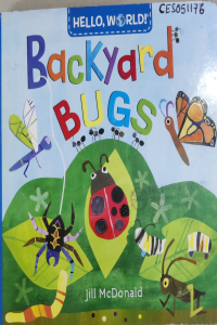 Backyard Bugs